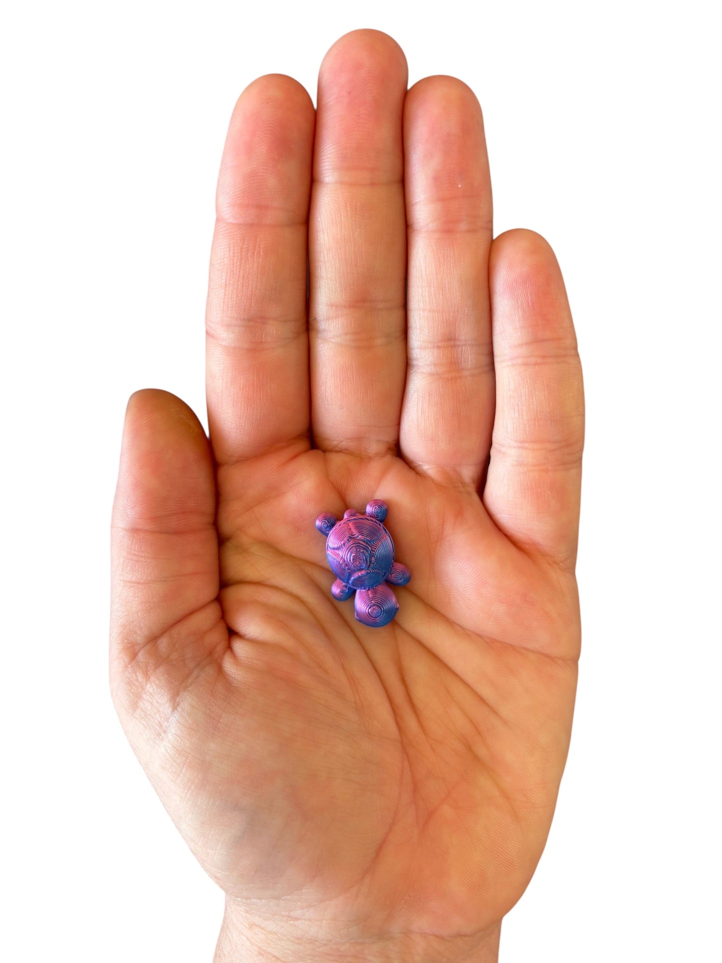 3D Printed Turtle-Blue/Pink