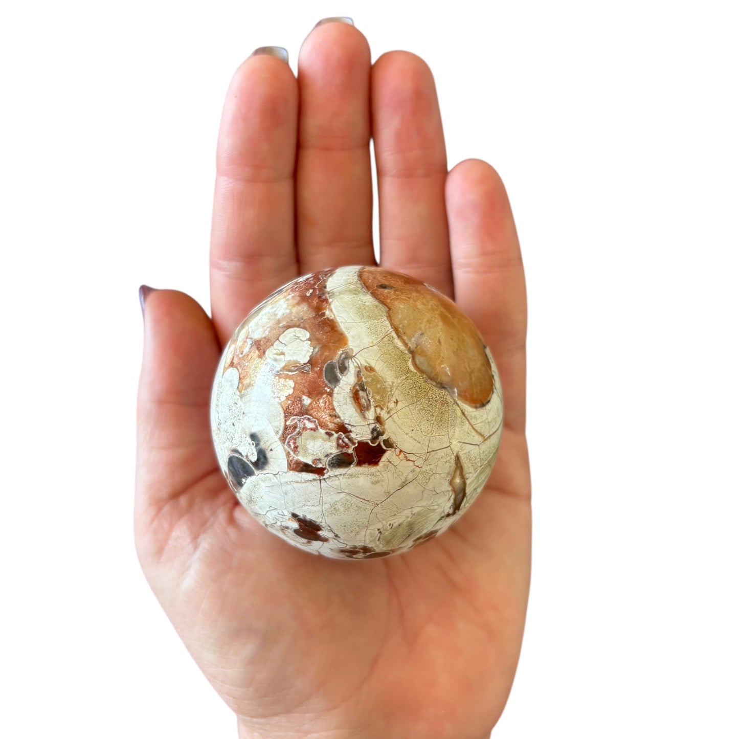 61mm Money Agate Sphere