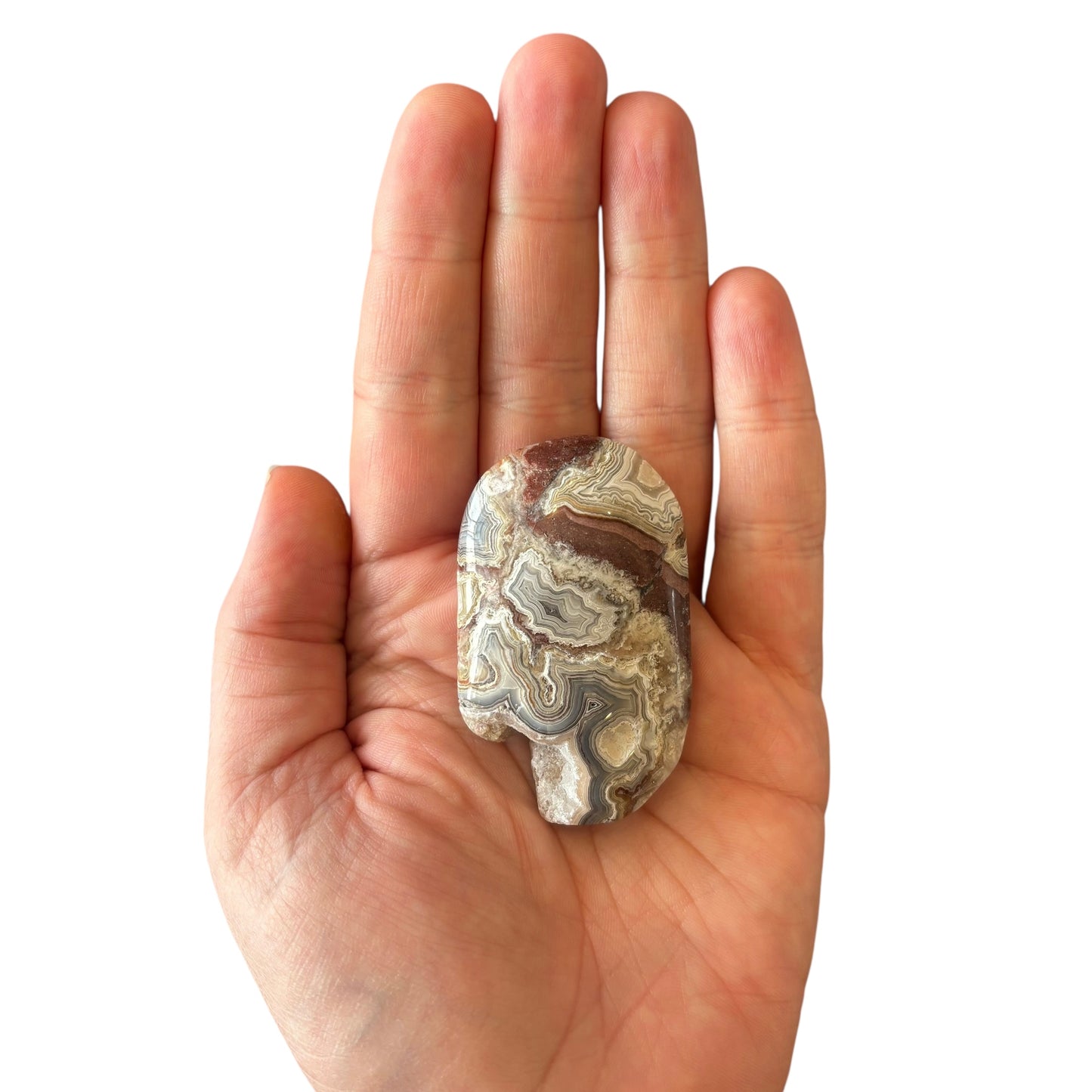 55g Mexican Agate Palm Stone