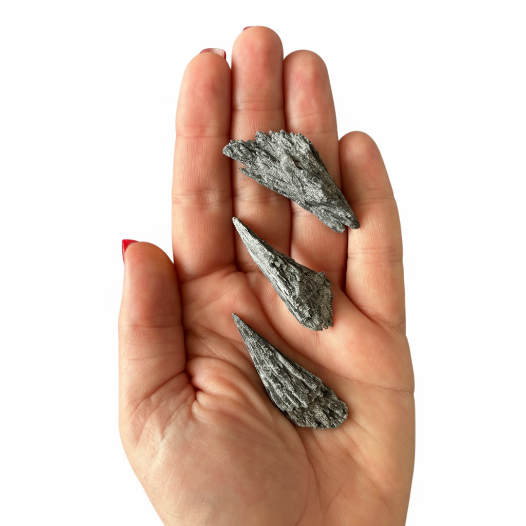 5-10g Black Kyanite Raw