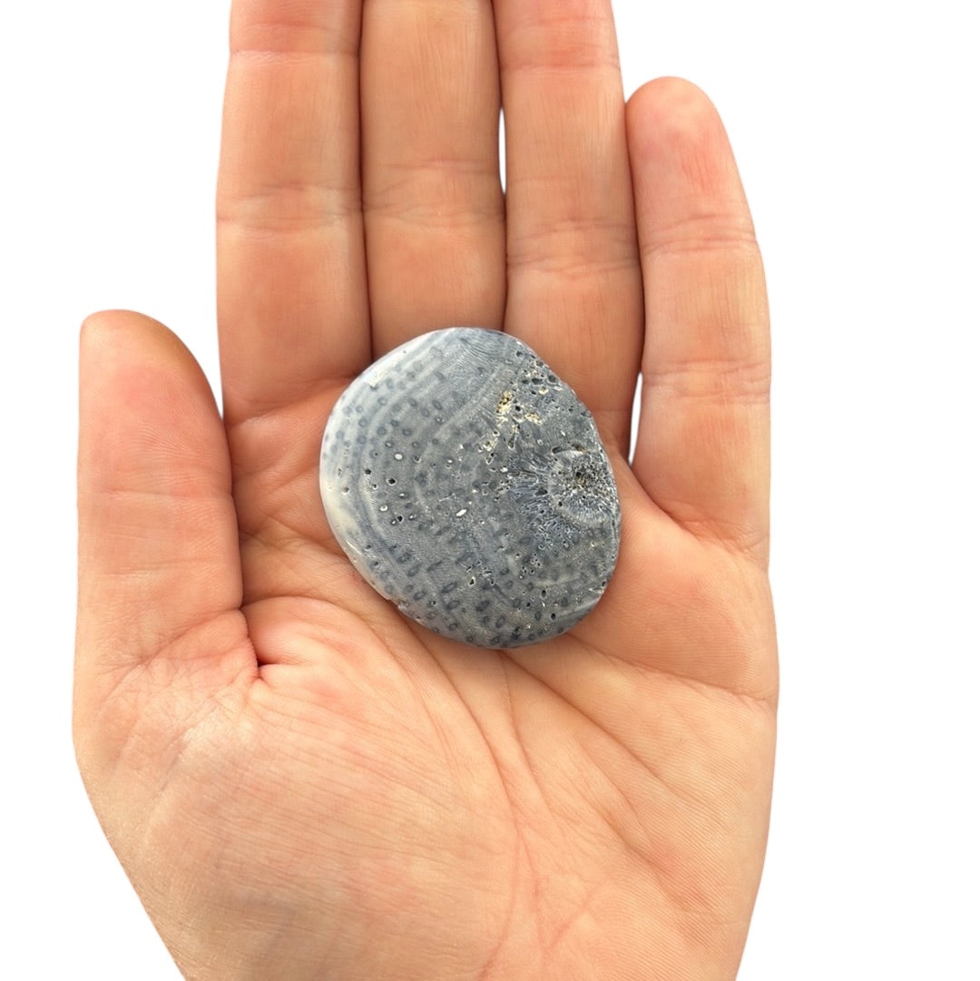 21g Blue Coral Flat Stone