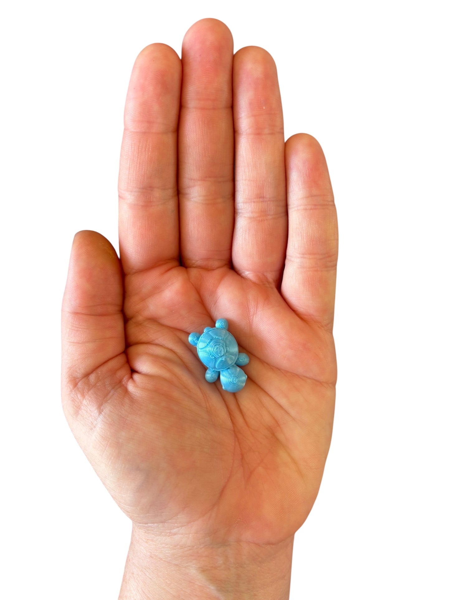 3D Printed Turtle-Blue