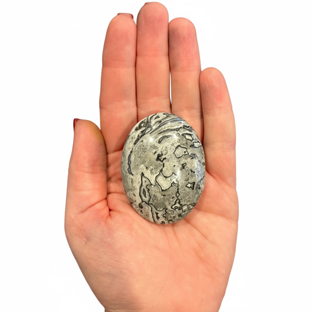 88g Picasso Jasper Palm Stone