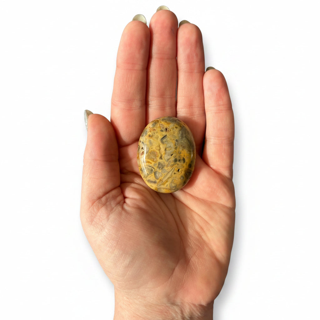 38g Crazy Lace Agate Palm Stone