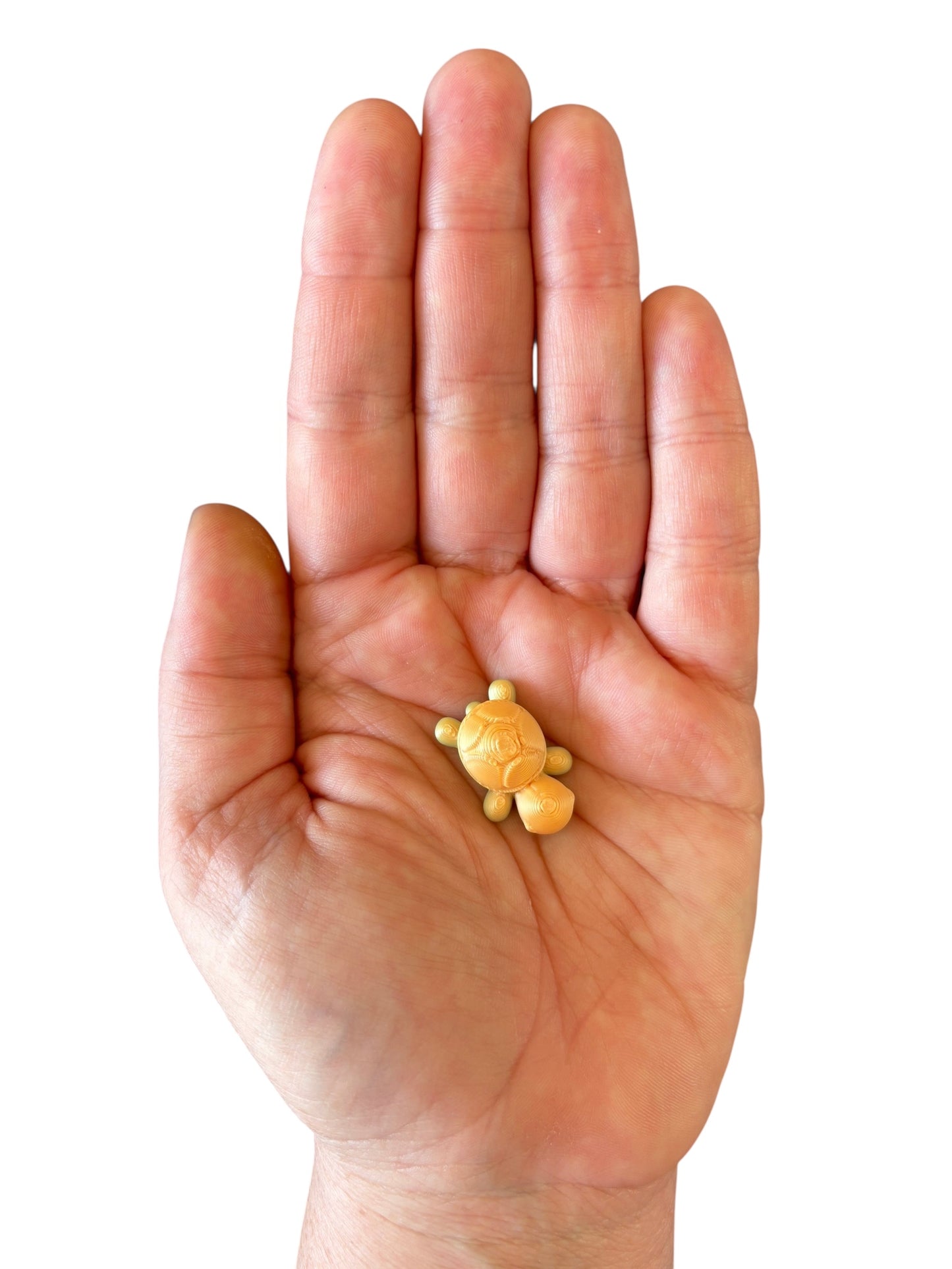 3D Printed Turtle-Cream