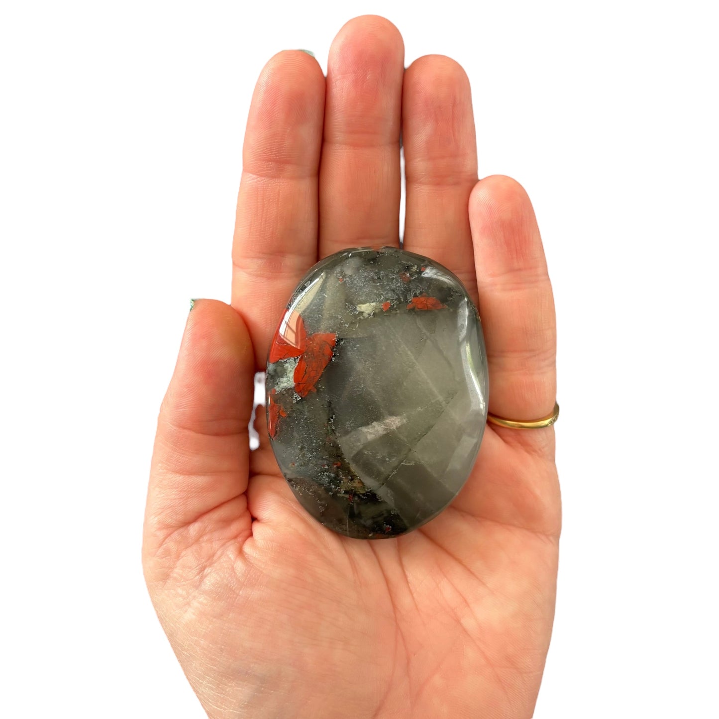 103g African Bloodstone Palm Stone
