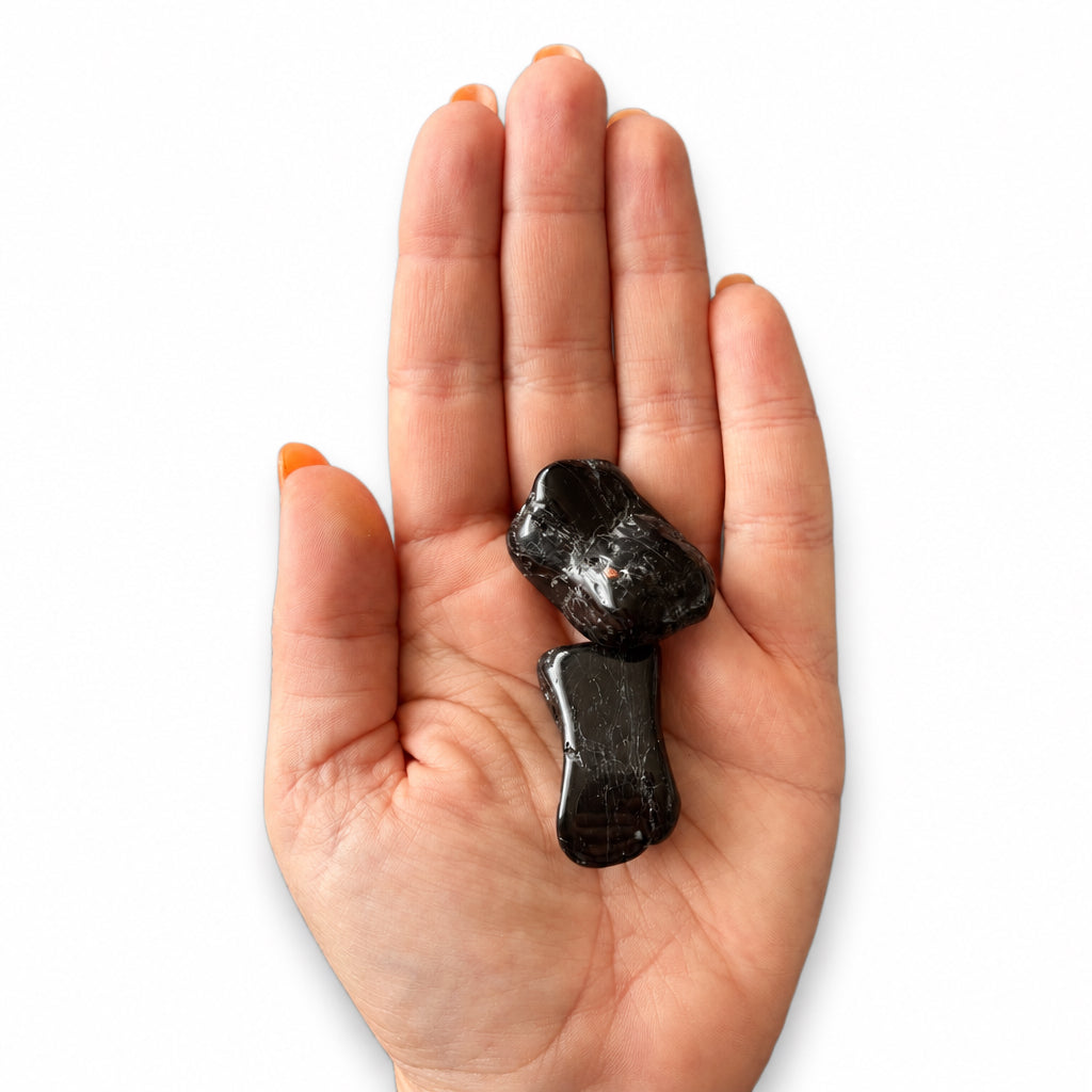 15-20g Black Tourmaline Tumble