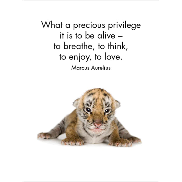 Little Treasures affirmation cards