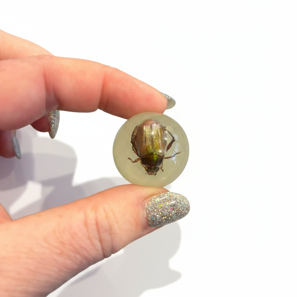 Resin with Bug Sphere