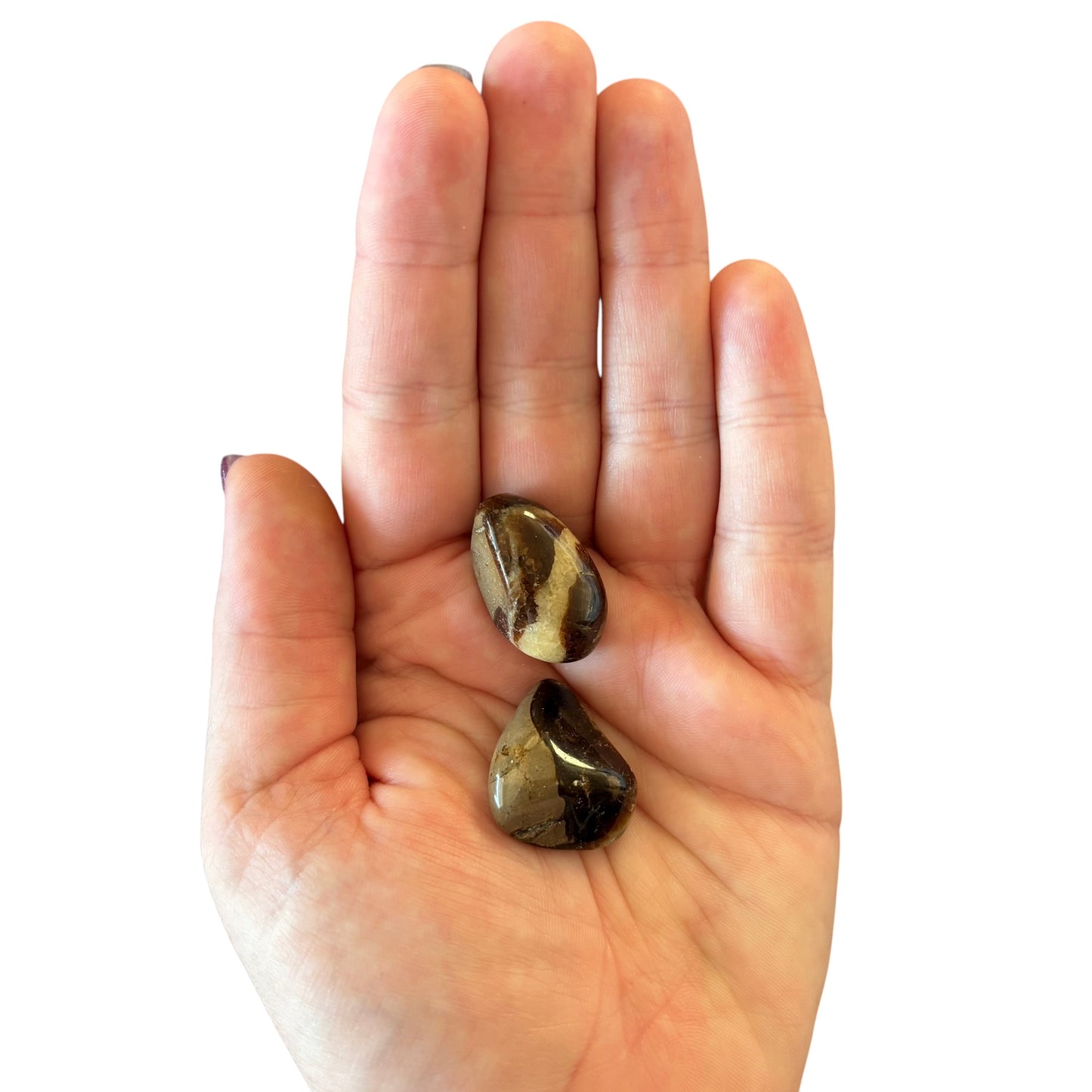 10-15g Septarian Tumble