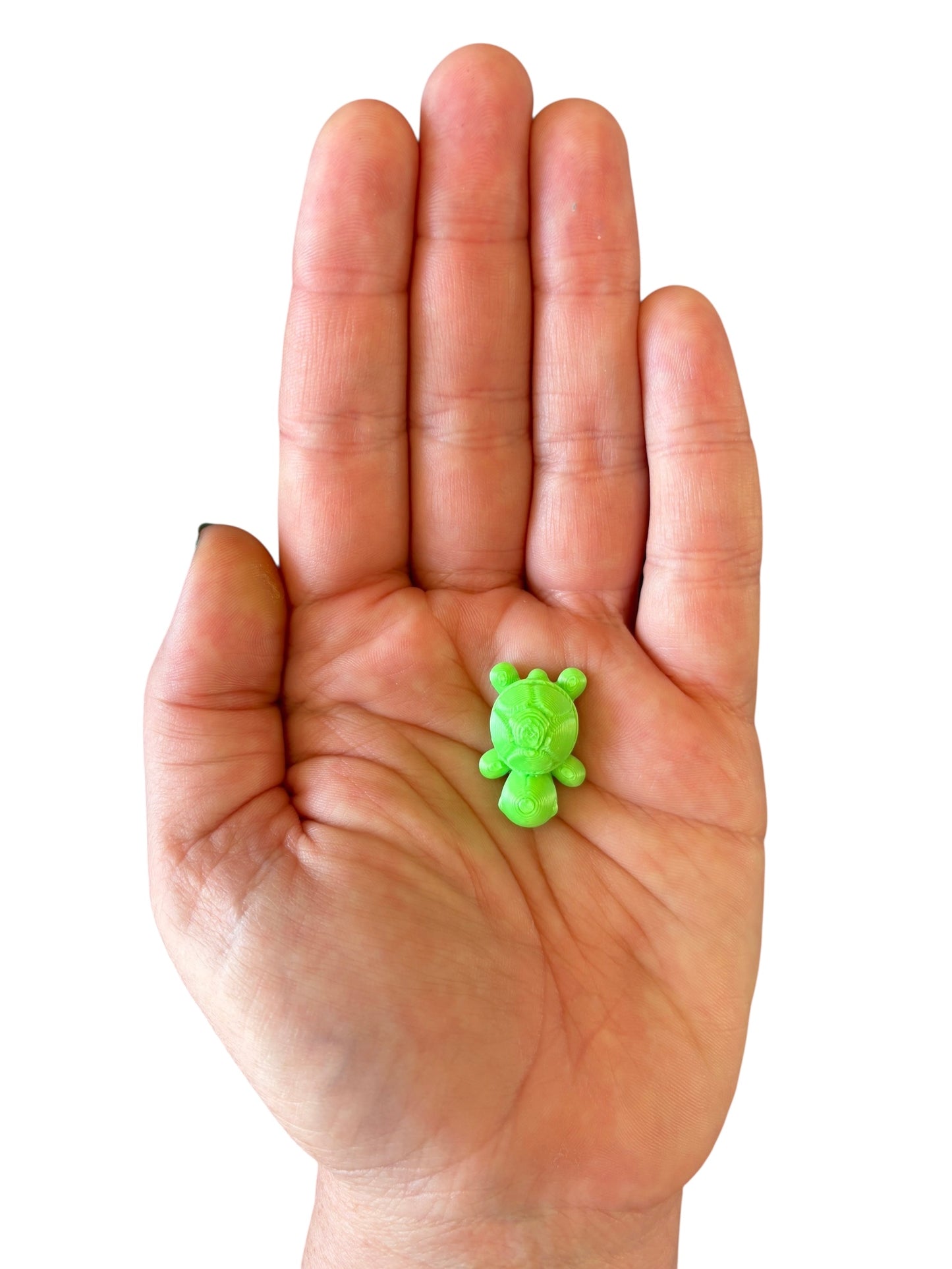 3D Printed Turtle-Green