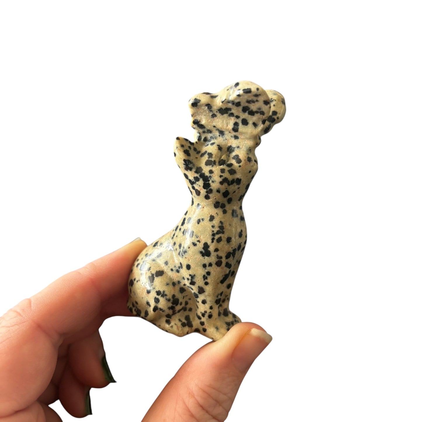 82g Dalmatian Jasper With Butterfly Cat