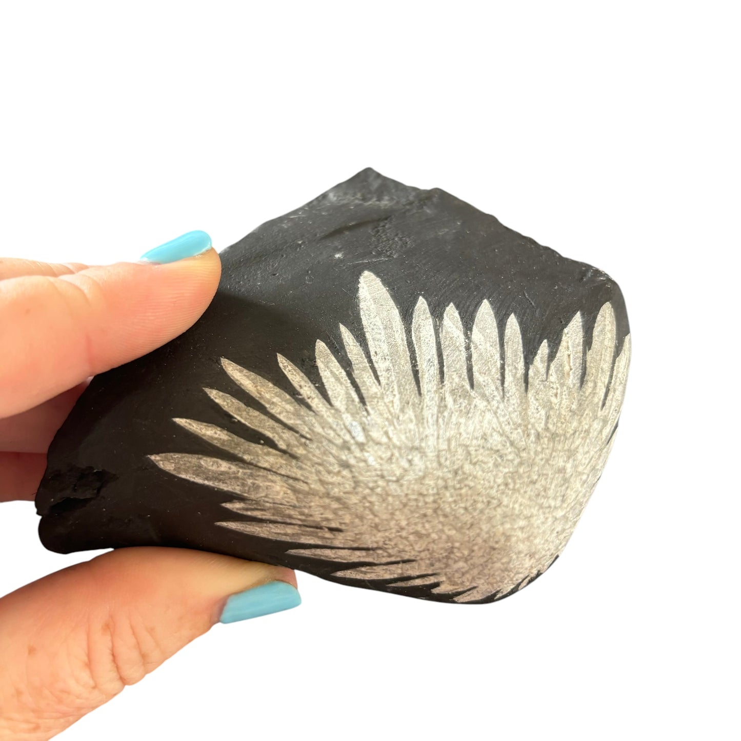 198g Chrysanthemum Stone Raw