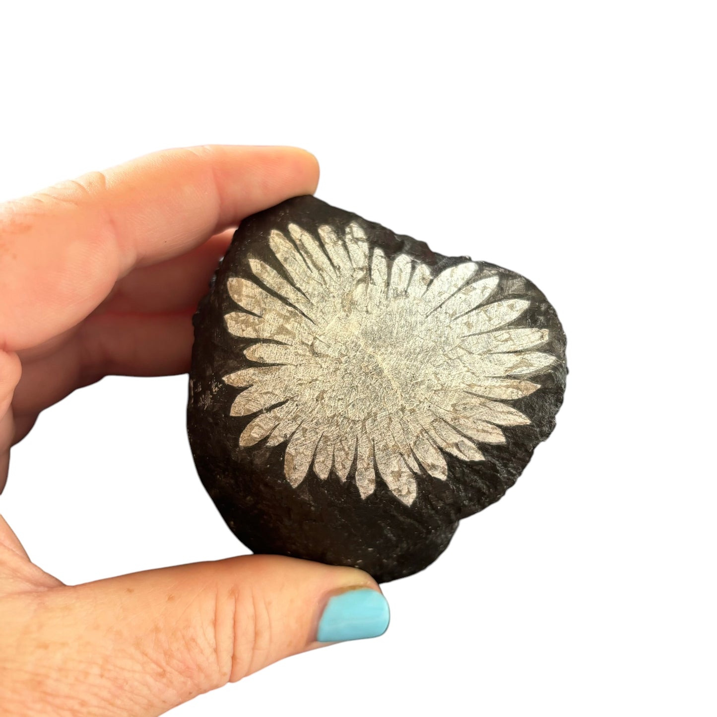 216g Chrysanthemum Stone Raw