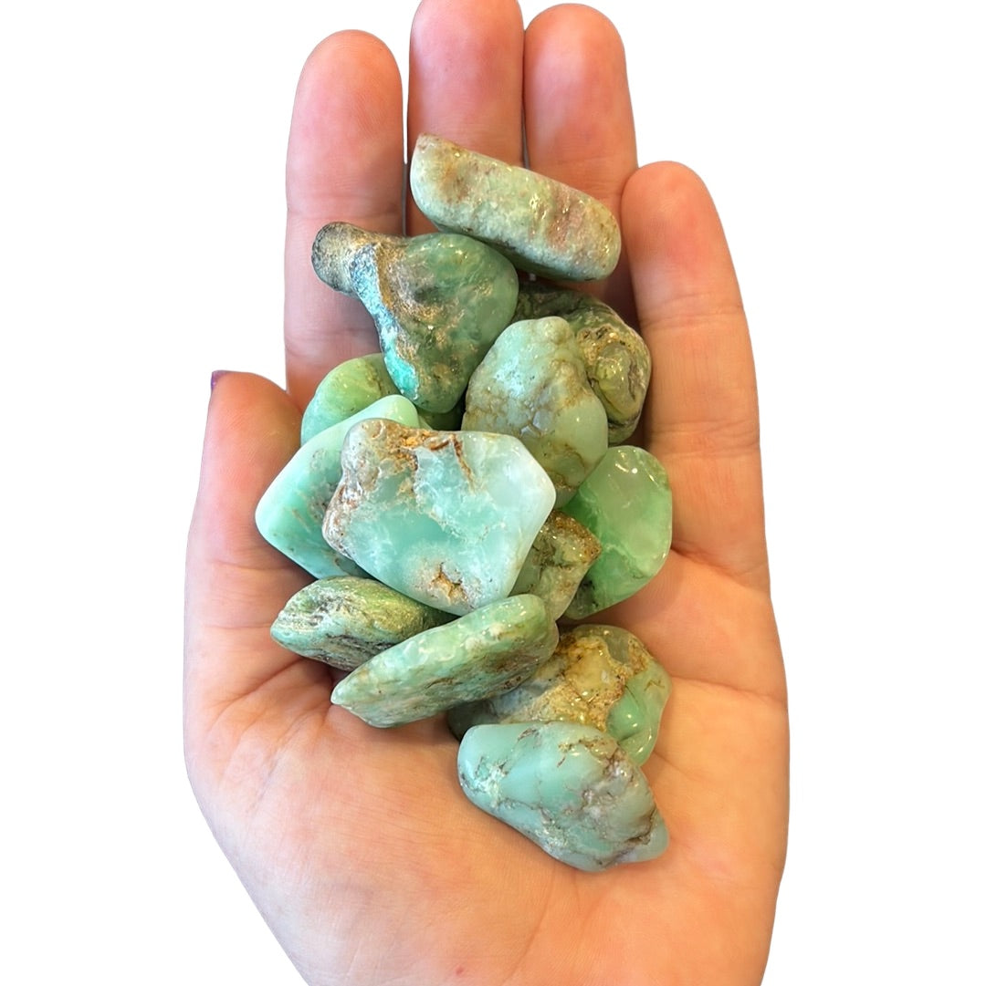 10-15g Chrysoprase Tumble