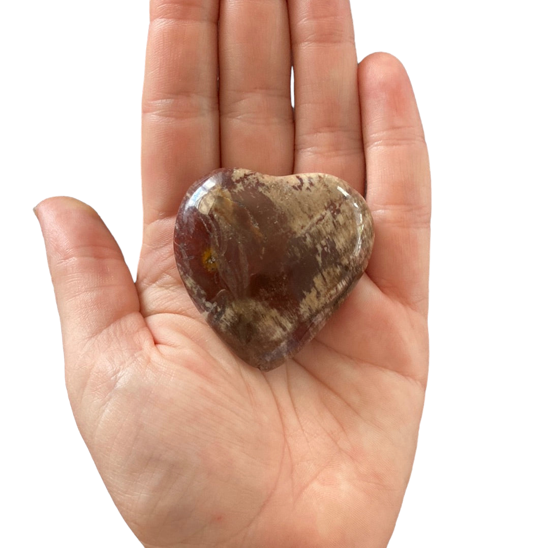 68g Petrified Wood Heart