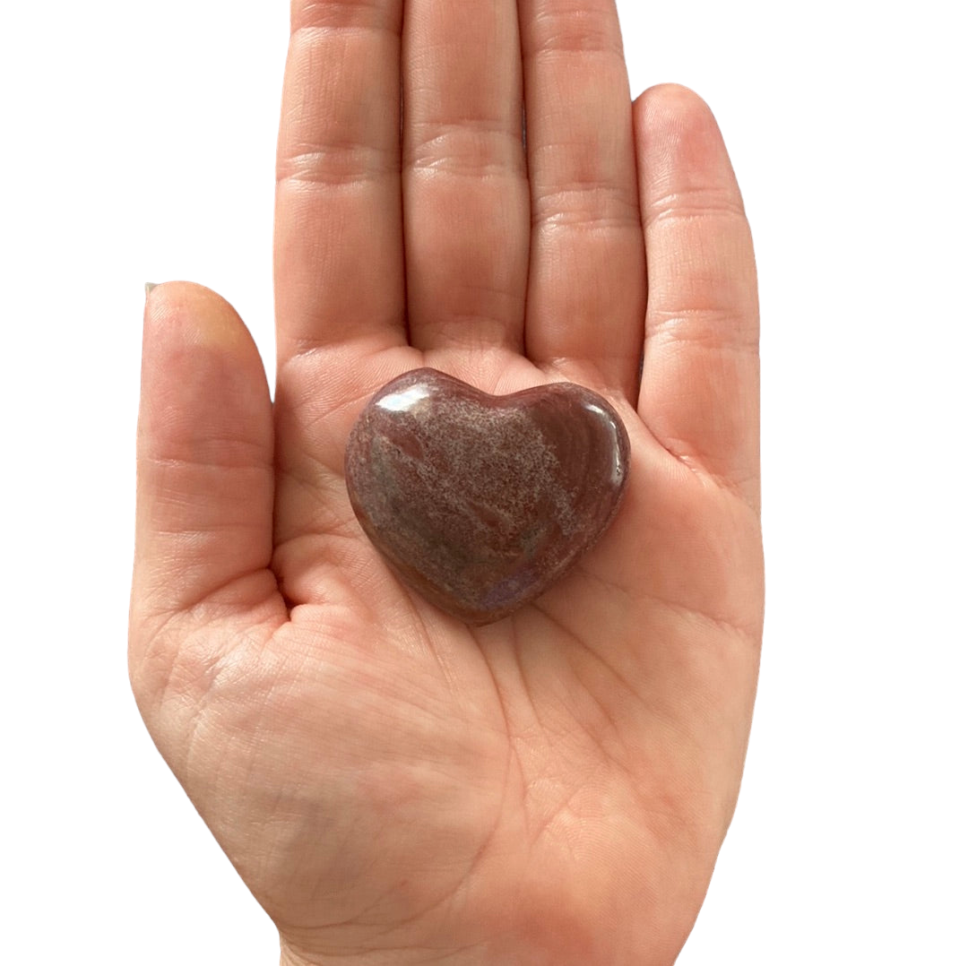 36g Petrified Wood Heart