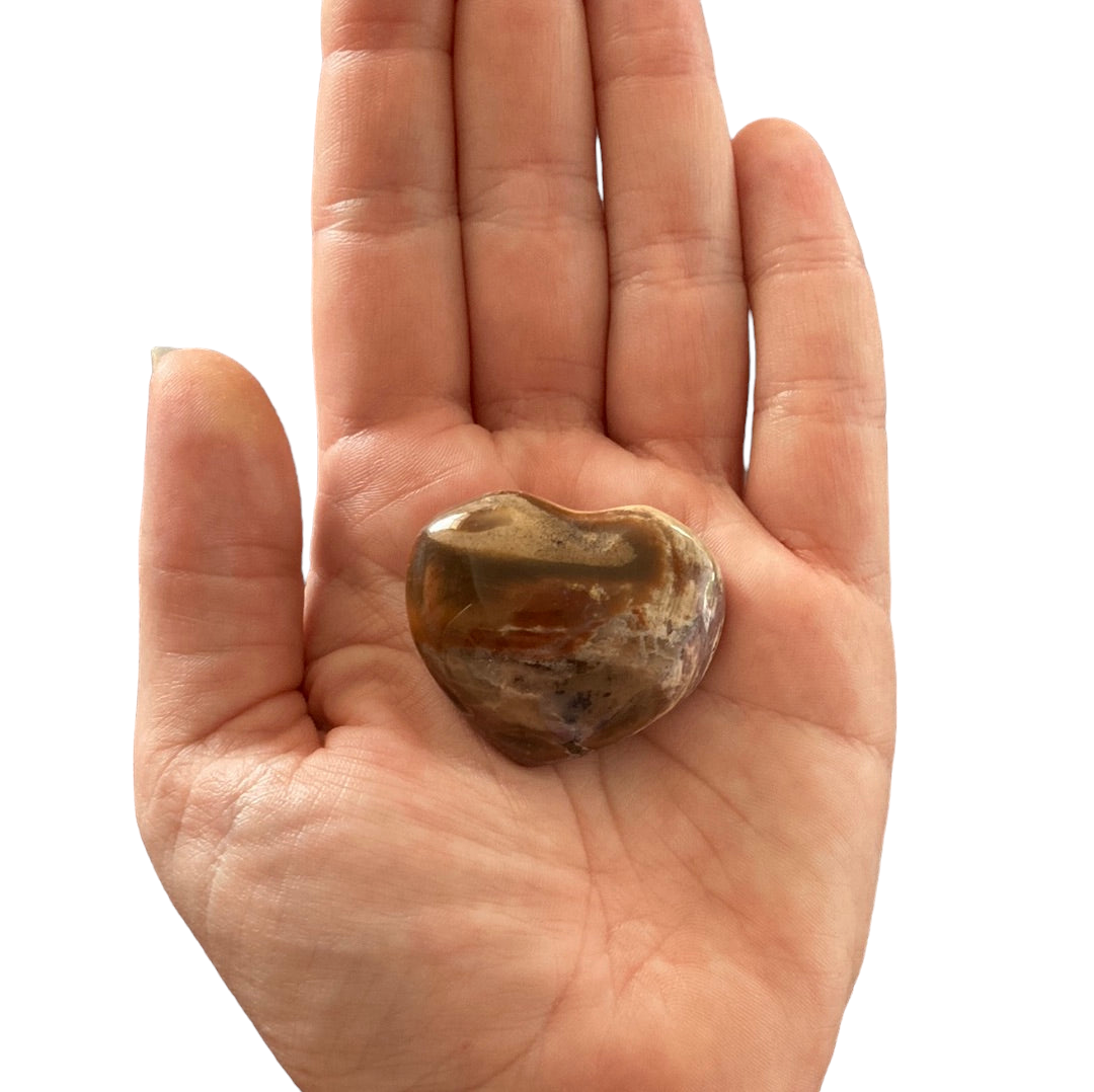 32g Petrified Wood Heart