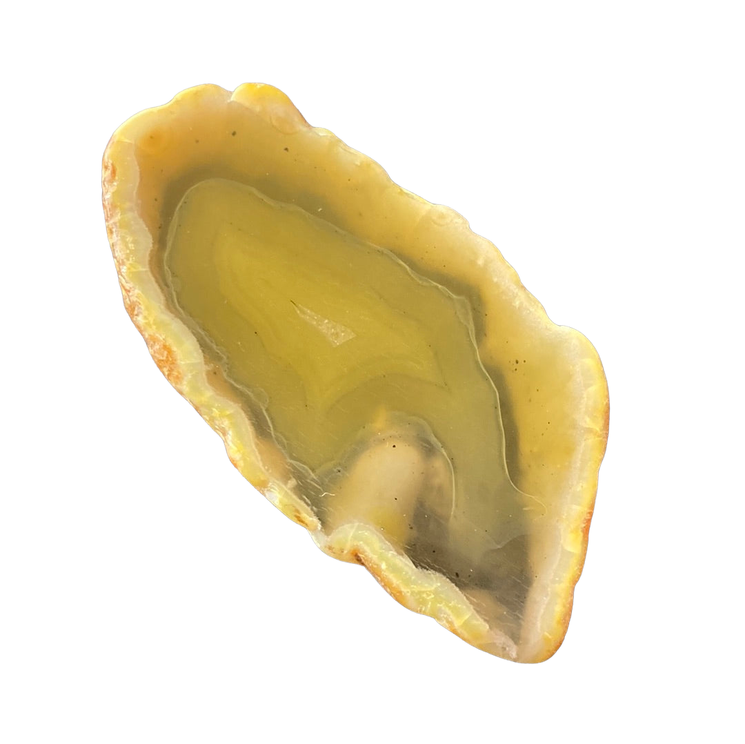 Yellow best sale agate slice