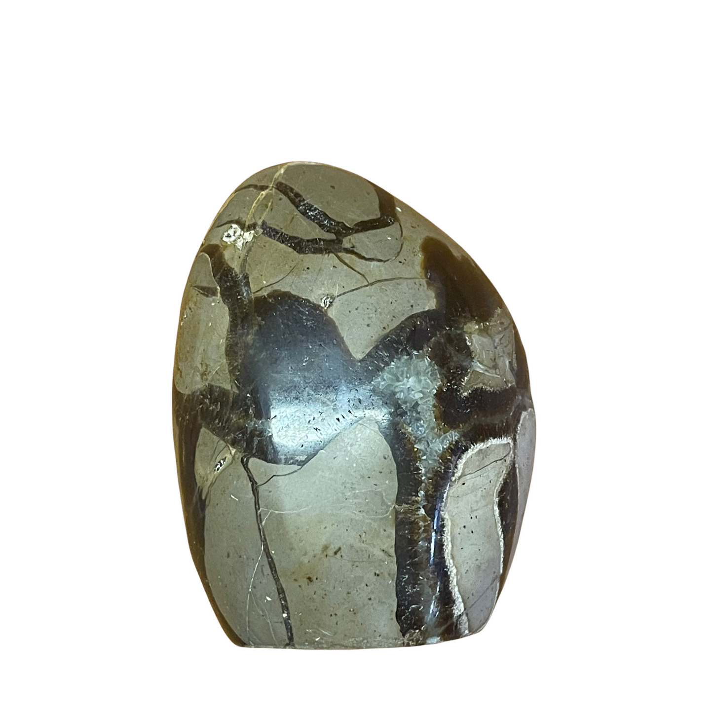 377g Septarian Freeform