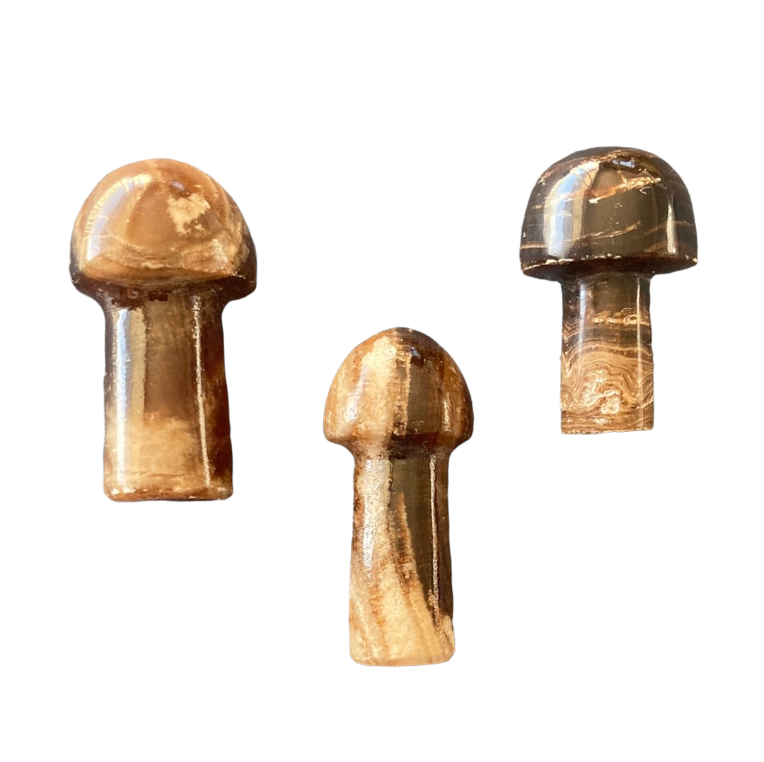 Chocolate Calcite Mushroom