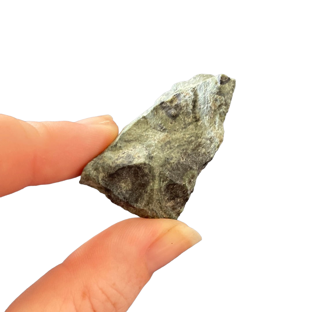 22g Kambaba Jasper Raw