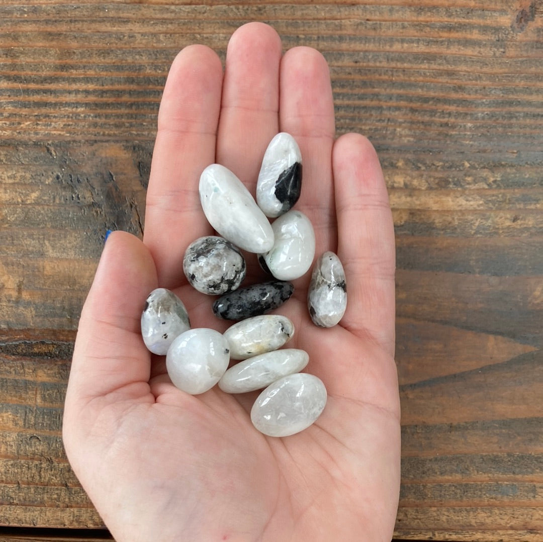 5-10g Rainbow Moonstone Tumble