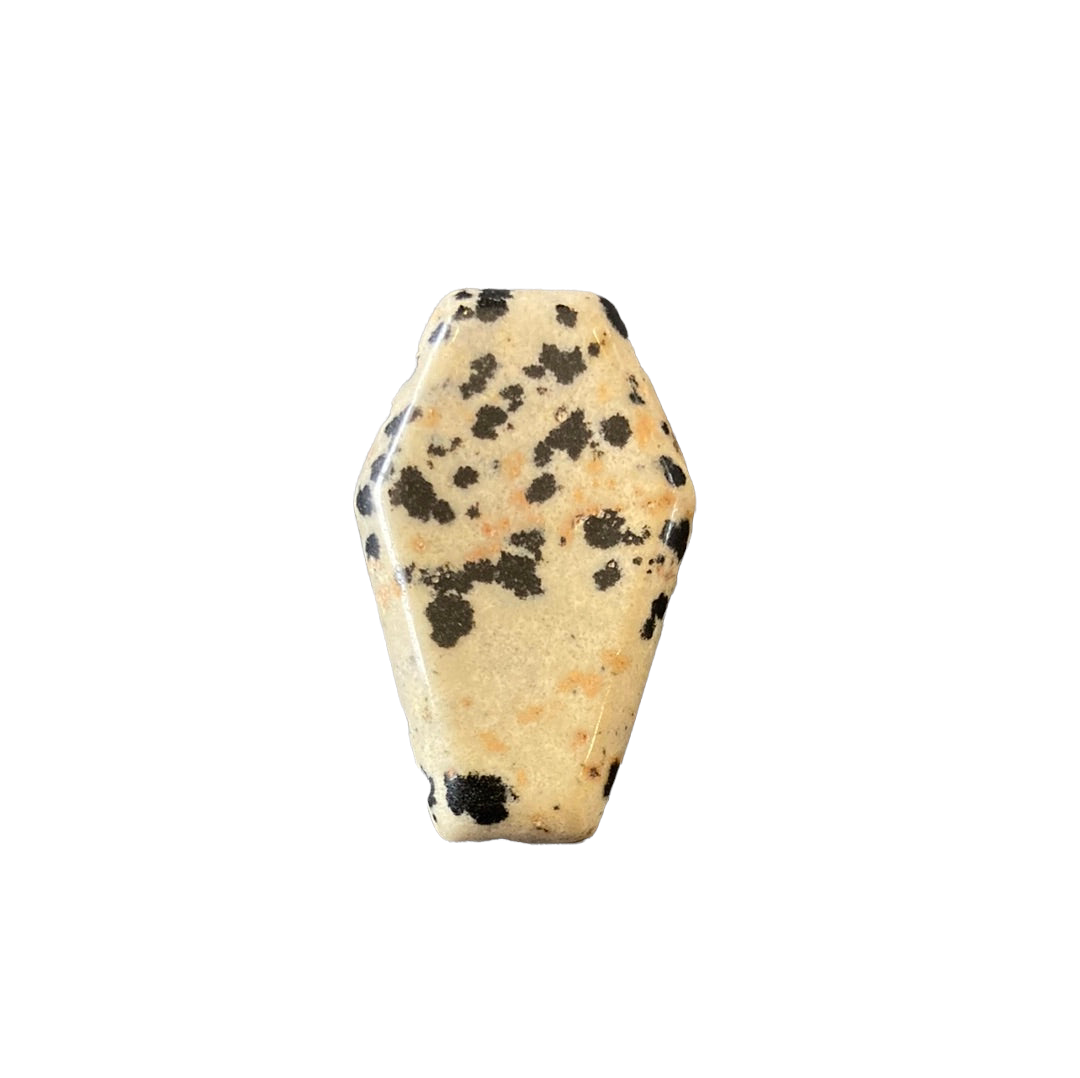 Dalmatian Jasper Coffin