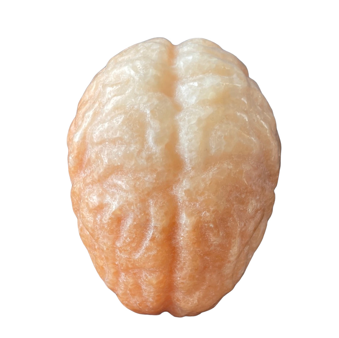 350g Sunstone Brain