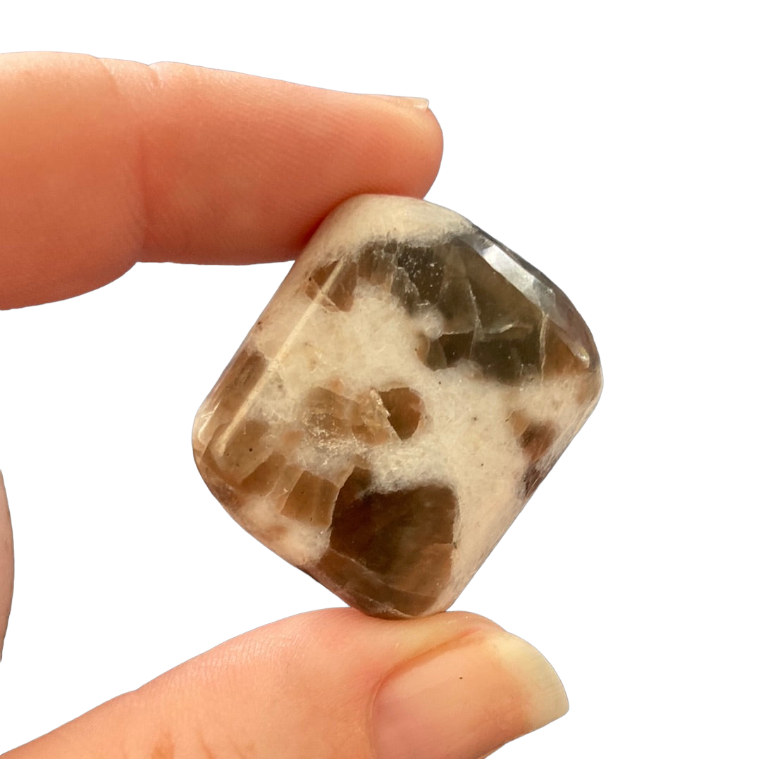 24g Polarity Moonstone Tumble