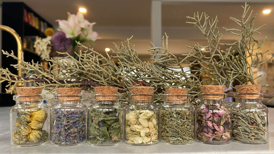Harnessing Nature's Remedies: Everyday Herbs for Healing