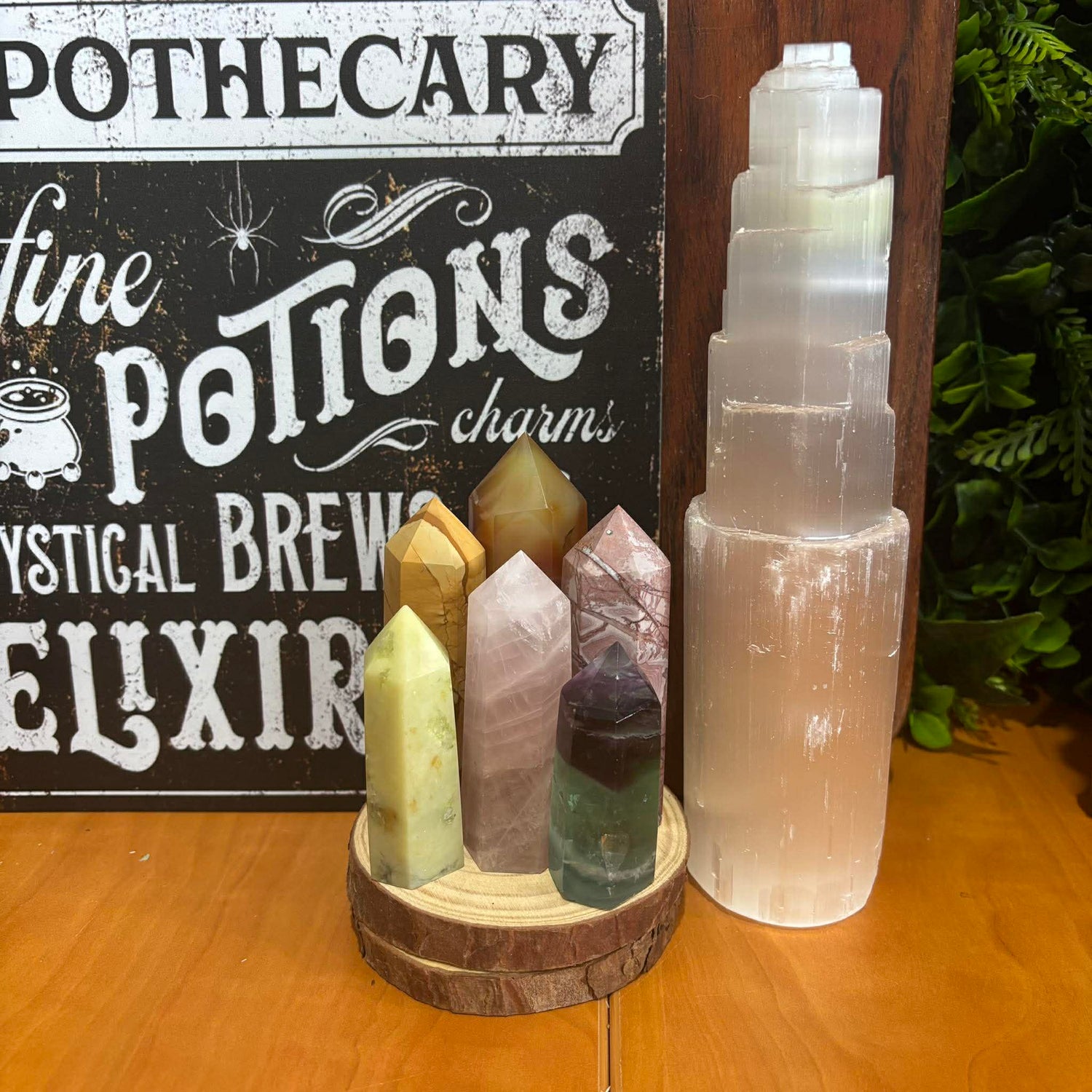 February New Arrivals