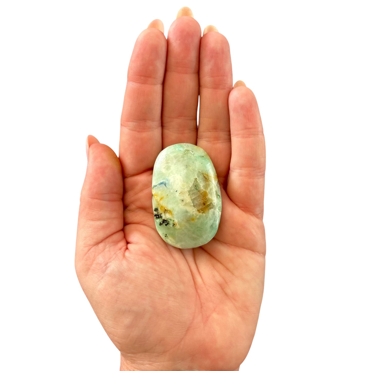 50g Phoenix Stone Palm Stone