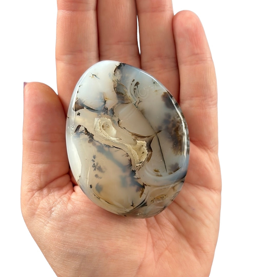 155g Dendritic Opal Palm Stone