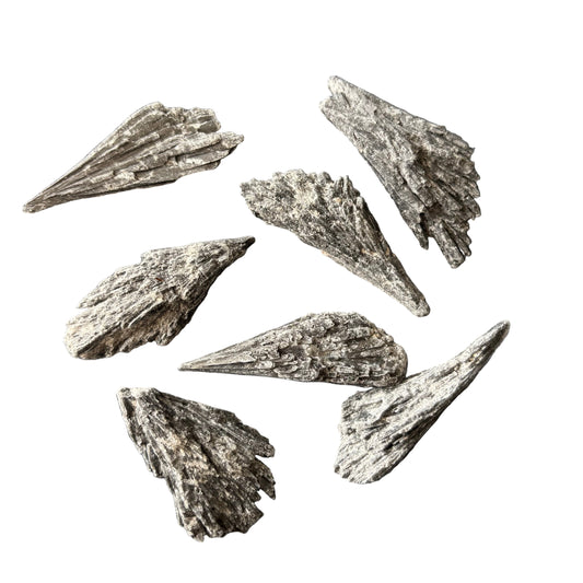 5-10g Black Kyanite Raw