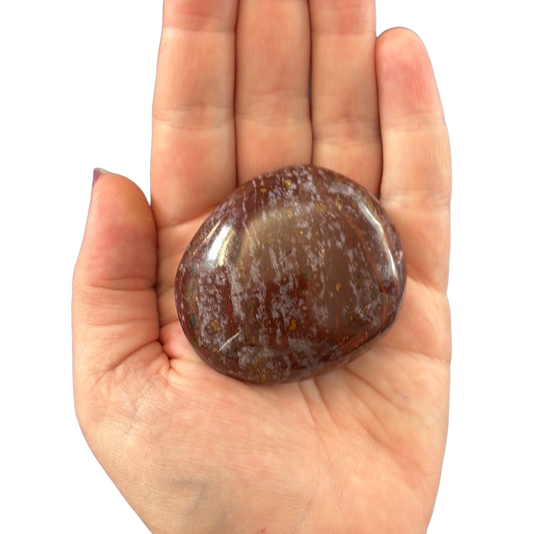 109g Ocean Jasper Palm Stone