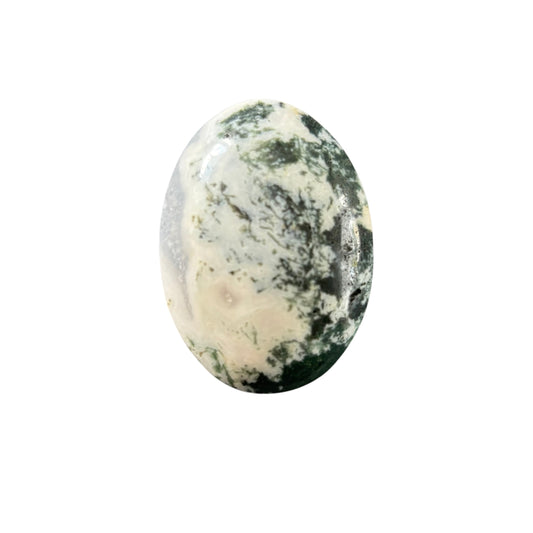 87g Moss Agate Palm Stone