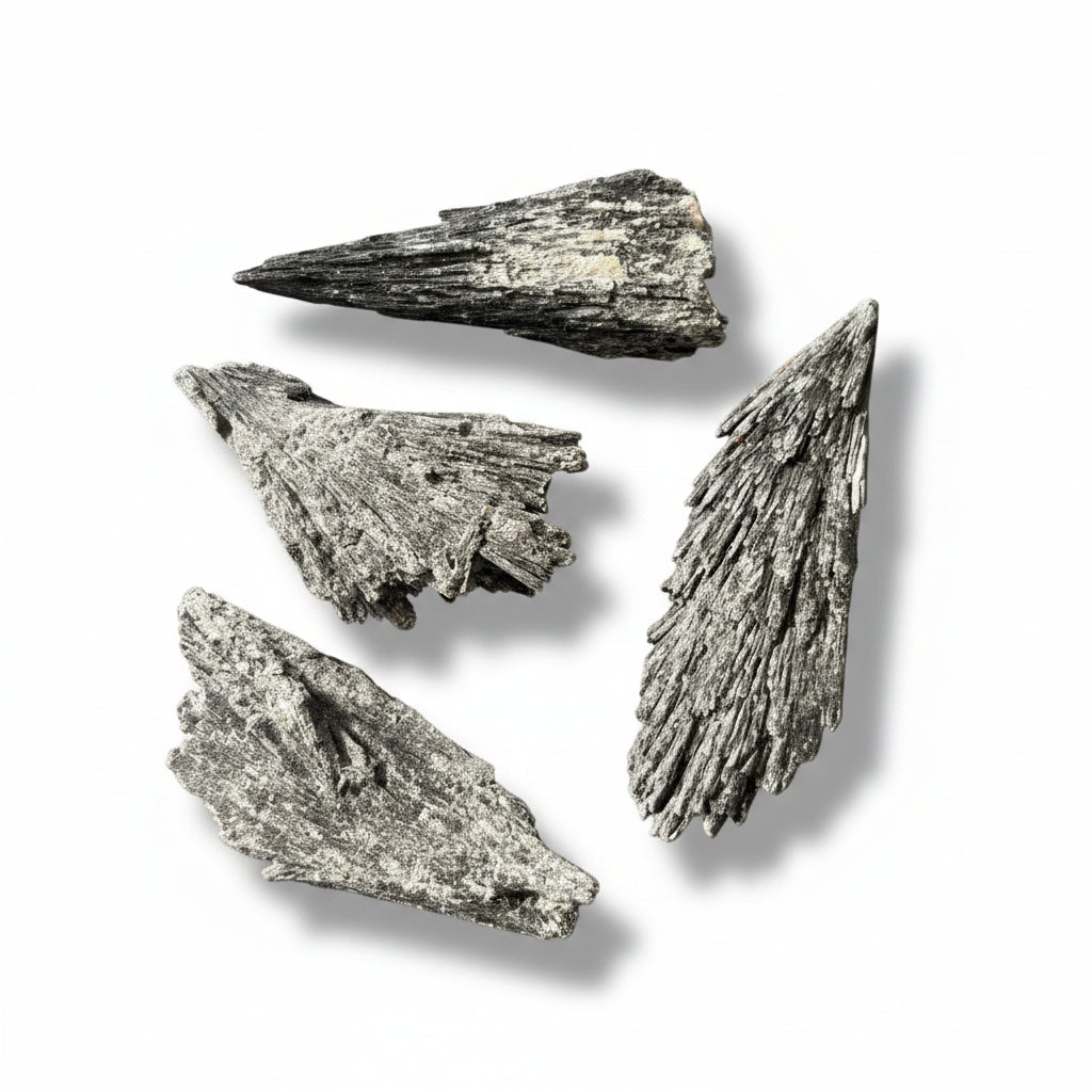 10-15g Black Kyanite Raw