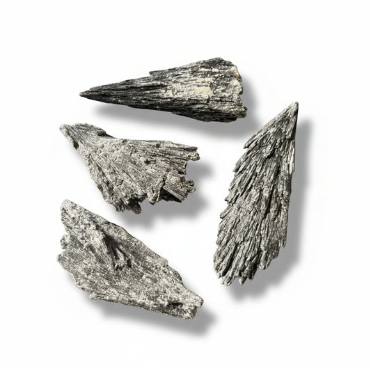 10-15g Black Kyanite Raw