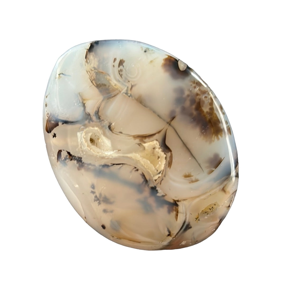 155g Dendritic Opal Palm Stone