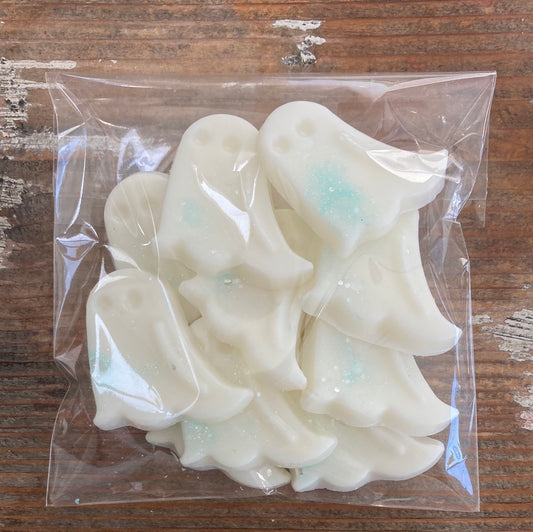Ghosted Ghosts 10pc Wax Melt Bag