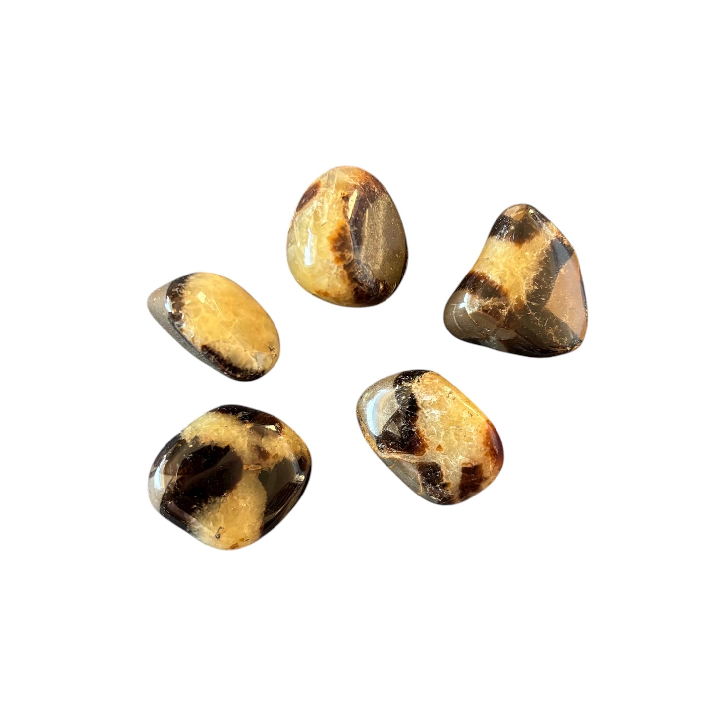 5-10g Septarian Tumble