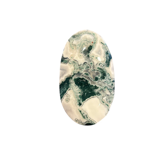 96g Moss Agate Palm Stone