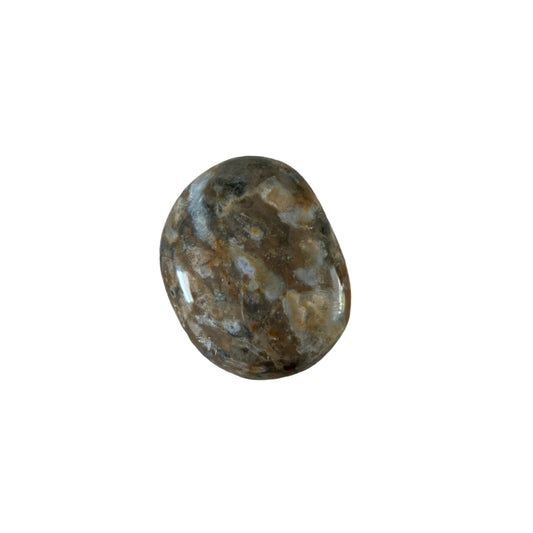 73g Ocean Jasper Palm Stone