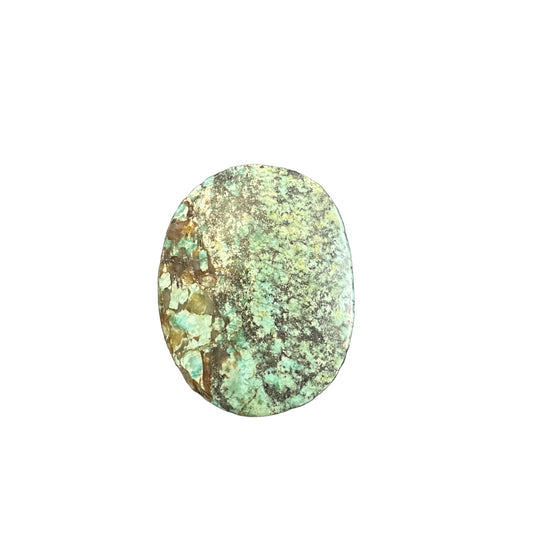 84g Turquoise Palm Stone