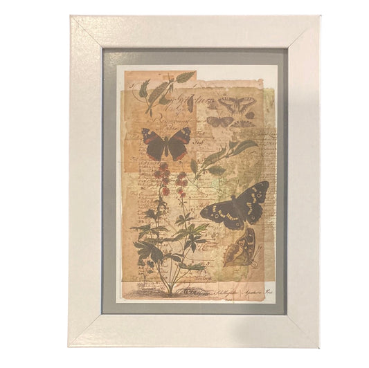 Framed Vintage Art-Butterlies