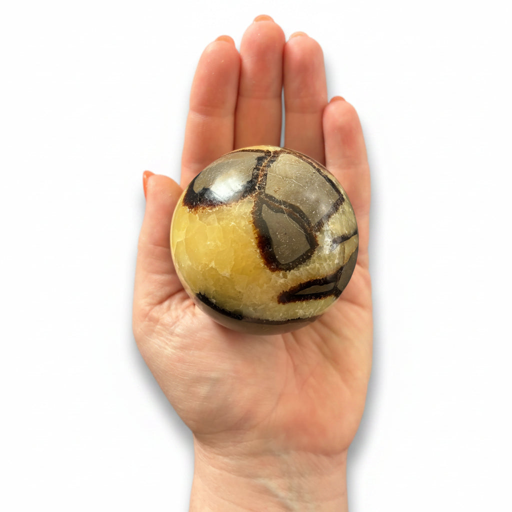 66mm Septarian Sphere