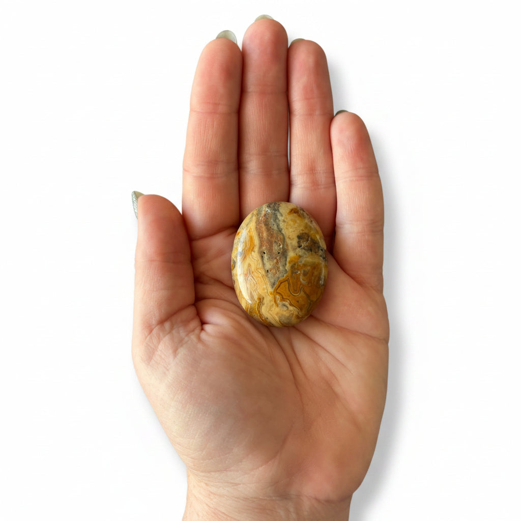 37g Crazy Lace Agate Palm Stone