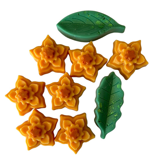 Lily & Persimmon shapes wax melt bag