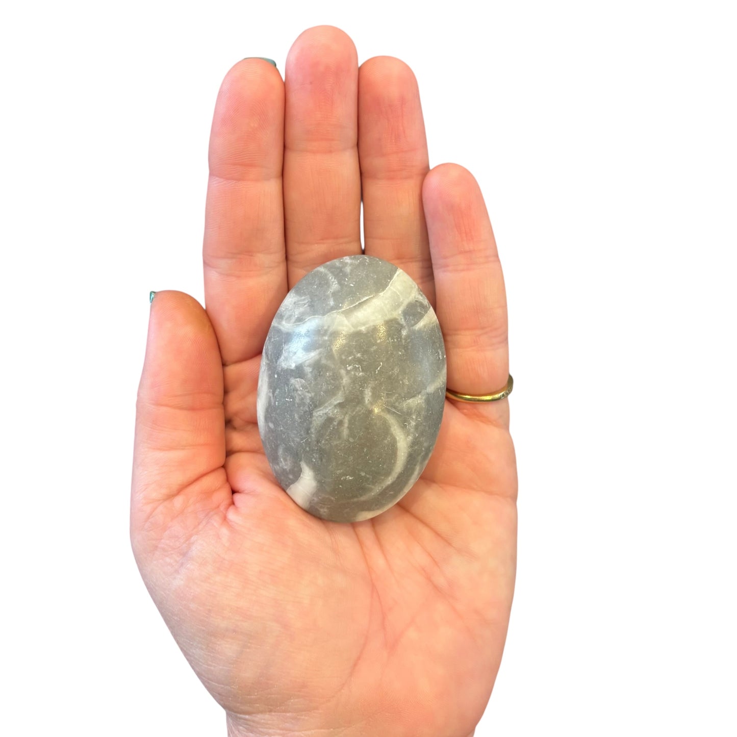 103g Thousand Eye Jasper Palm Stone